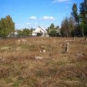 Jewish Cemetery 2006